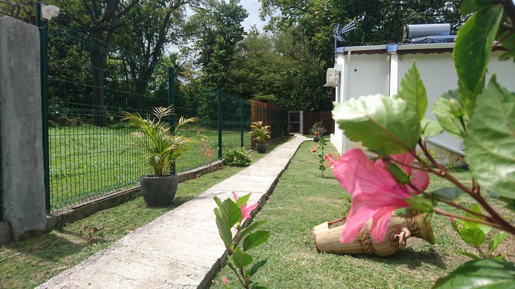 Reve Creole Villa Deshaies Kültér fotó