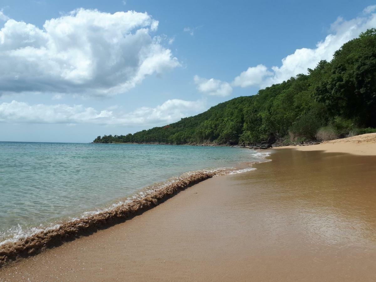 Reve Creole Villa Deshaies Kültér fotó
