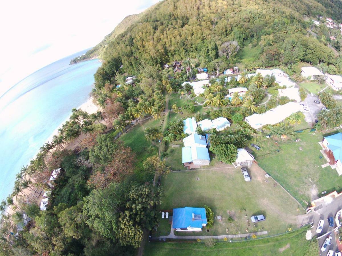 Reve Creole Villa Deshaies Kültér fotó