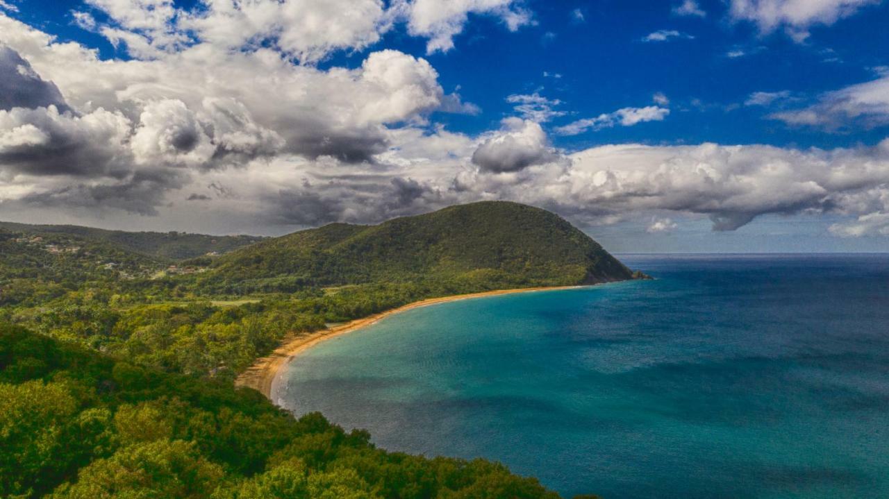 Reve Creole Villa Deshaies Kültér fotó